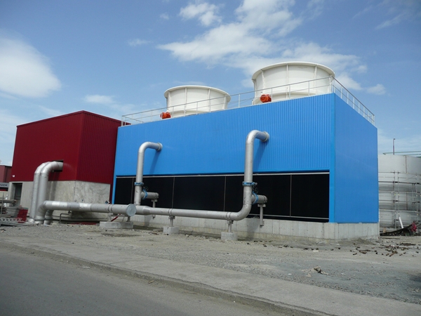 Biocel Paskov a.s. (Lenzing)